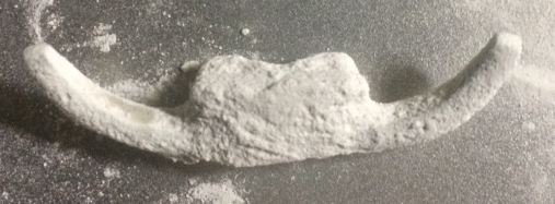 Sample part, air depowdered only
