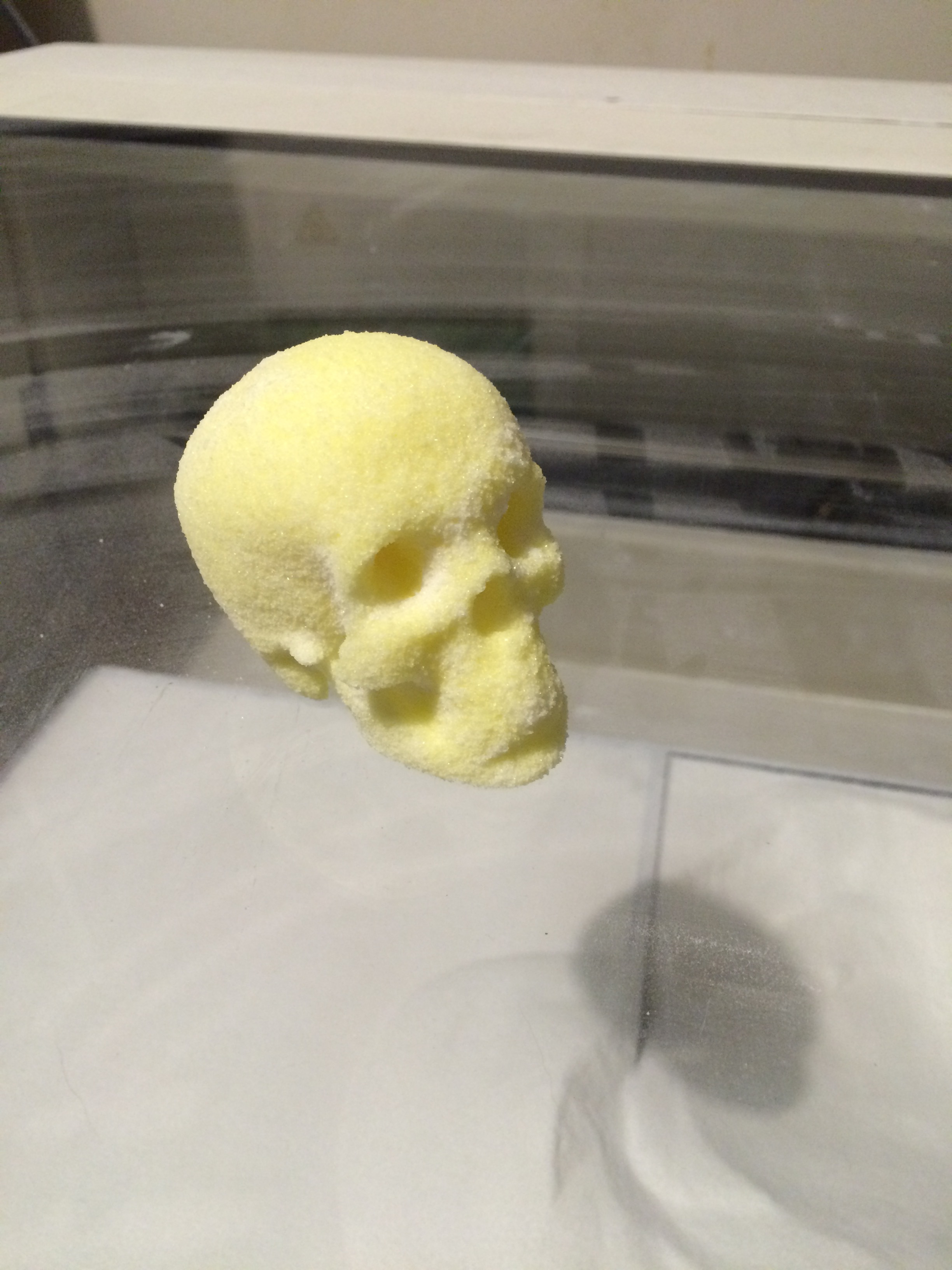 Printed sugar skull!